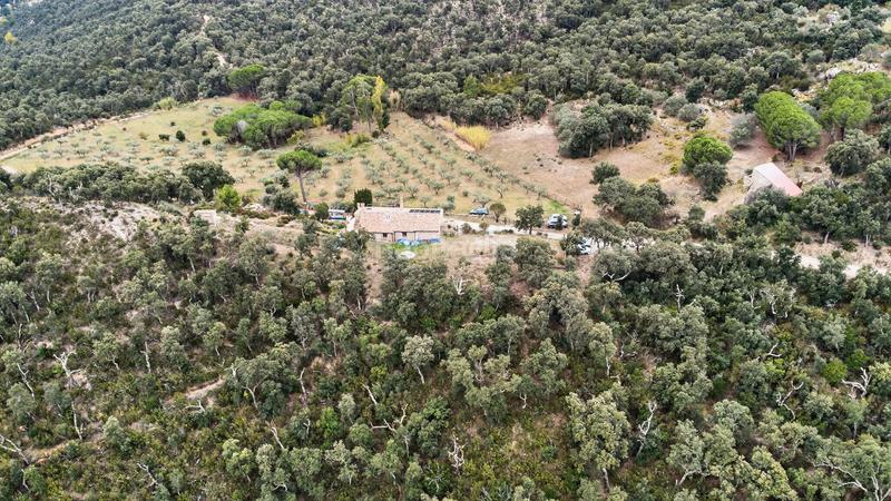 Foto a2e3ba35-11c2-4470-b331-0d9fa006a356. Casale in Jonquera (La)