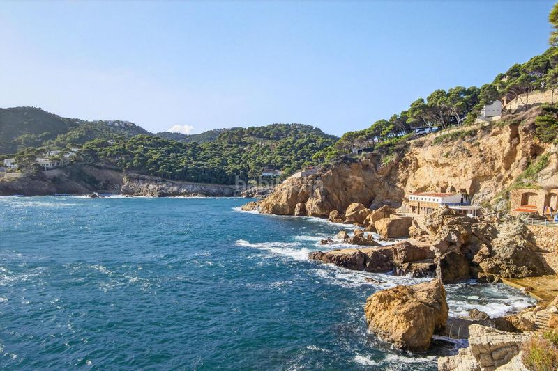 Foto b143491c-4a1b-43ea-bf58-bbd98dbca2e7. Apartament amb aparcament piscina a Aiguafreda-Sa Tuna Begur