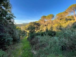 Landgut  Carrer sant pere del bosc. Terreno rústico de 10.000 m2, situado en el encantador paraje de
