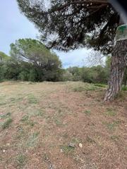 Finca rústica  Carrer còrsega. Terreno rústico  en lloret de marlos pinares