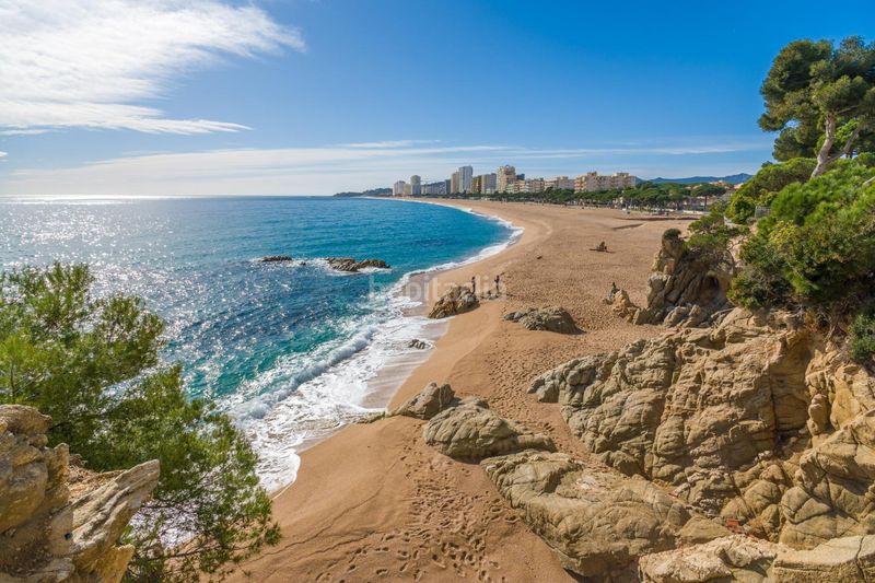 Foto 4e59e794-ecb2-48f3-9ba5-ffbeca8fe4f8. Apartament a Centre-Platja Platja d´Aro