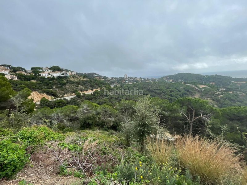 Foto 8c50202b-fd4c-4da9-b207-603ca0138852. Terreny residencial a Serra Brava Lloret de Mar