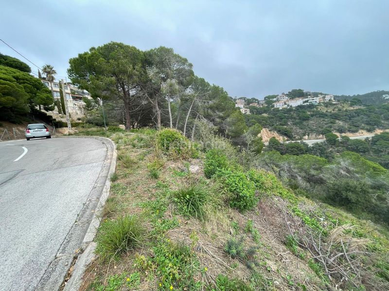 Foto fe3a15bc-46e3-4ca9-af09-6a08165823b0. Terreny residencial a Serra Brava Lloret de Mar