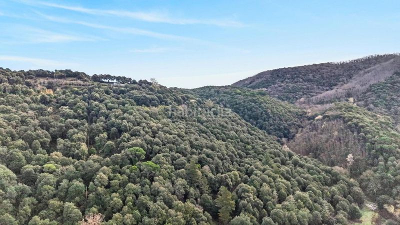 Foto 764c7edb-80c2-4a95-a105-060ea8364625. Xalet amb piscina a Sant Celoni