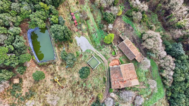 Foto c2a25959-186d-4e59-9c09-8f4c597bb941. Xalet amb piscina a Sant Celoni