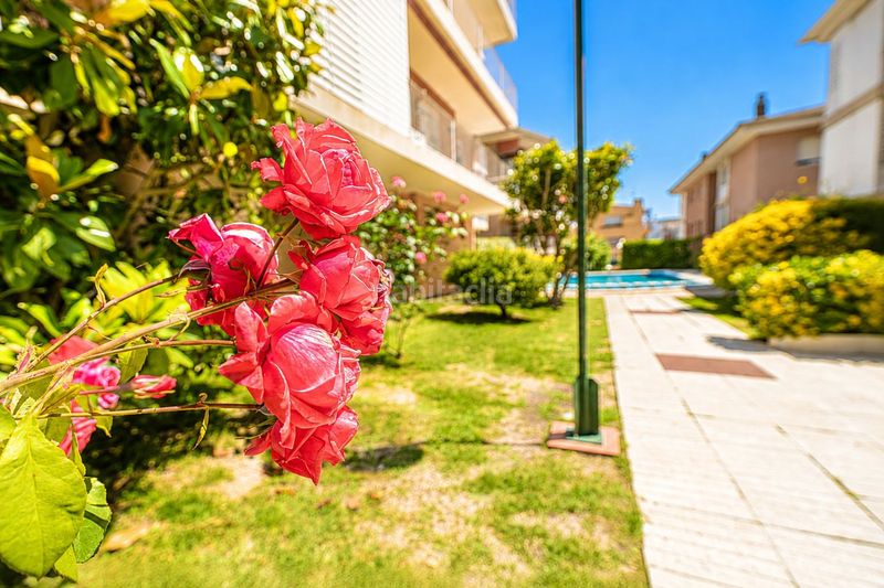 Foto b0b62e91-45d6-4235-bea8-e74e29cb9c11. Apartament amb aparcament piscina a Fenals Platja d´Aro
