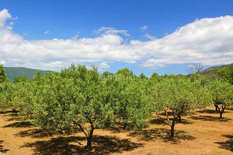 Foto cbe4d420-6f47-4e1d-b62f-c4b46db064d9. Casa pareada en Jonquera (La)