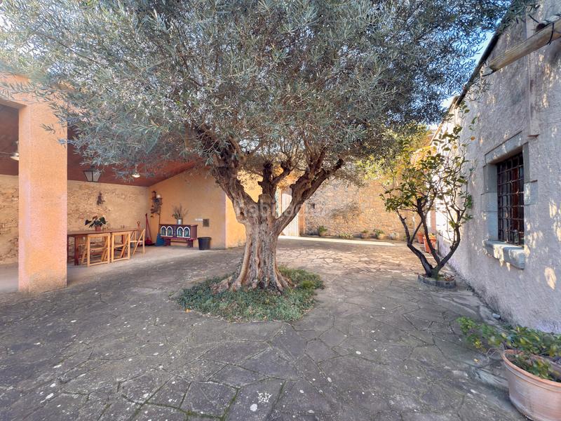 Foto 892c1813-c400-48ac-8f5a-297b884a2154. Casa bifamiliare in Saus, Camallera i Llampaies