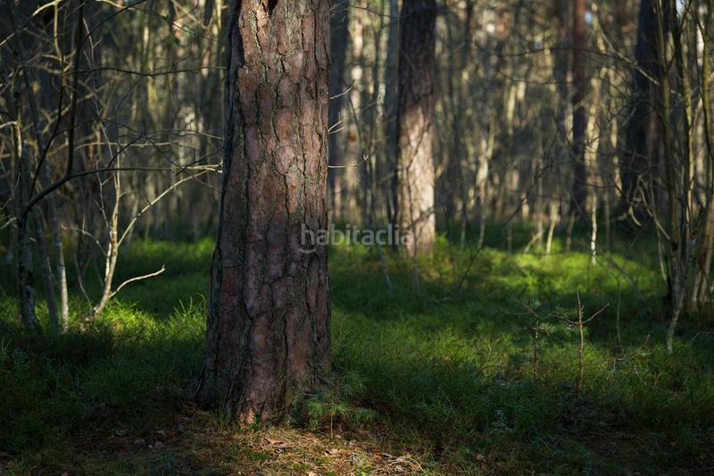 Foto 0fcf13d8-439e-437d-907e-6a0f0061cdb1. Wohngrundstück in Peralada