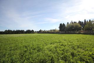 Local commercial  Carrer narcís soler, 22. Terreno figueres