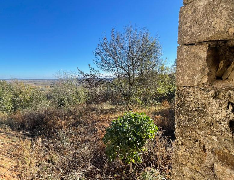 Foto 1fa9ec79-af54-44bb-b258-c9587f2b1437. Casa pareada masía en ruinas con anteproyecto realizado en Sant Julià de Ramis
