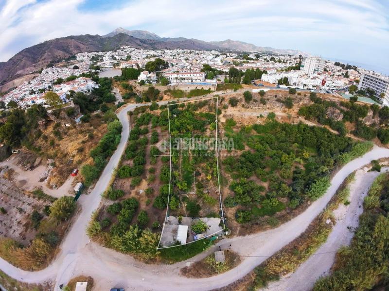 Foto 2efba7c4-6dc9-463a-84bb-9ad69347fa69. Mas dans Almijara Nerja