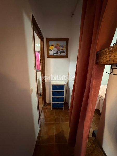 Foto d05579d1-1130-42db-bbec-936420986001. Mas dans Almijara Nerja