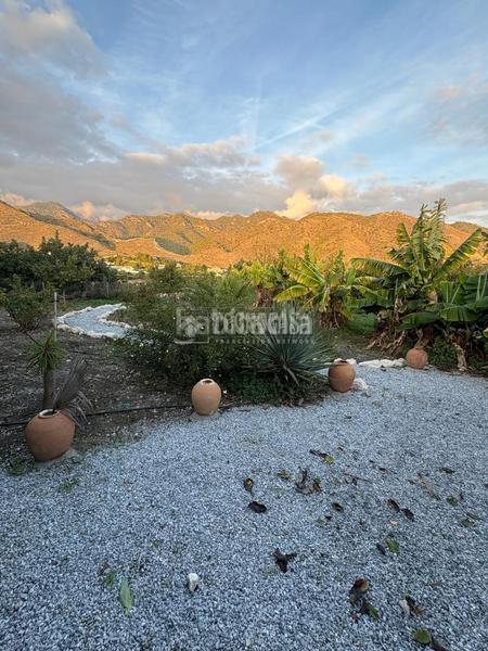 Foto bf9ada7c-5f76-4c1e-8903-45dfbfd595cc. Miete bauernhof mit parking pool in Frigiliana