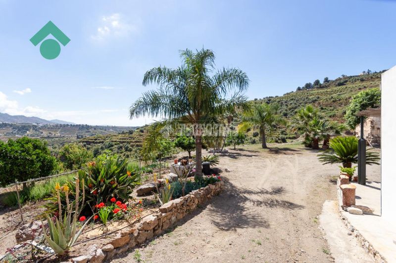 Foto 1a2cbd74-db73-4845-b7af-c098749e3a29. Casale in Frigiliana