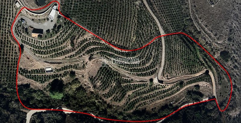 Foto a5ee3d0c-6f59-430d-a5d9-38cb7f52180c. Casale in Frigiliana