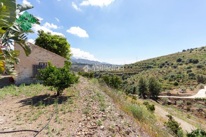 Foto d69d0fa5-1a07-4f85-a65a-5237ec6cd1b0. Casale in Frigiliana