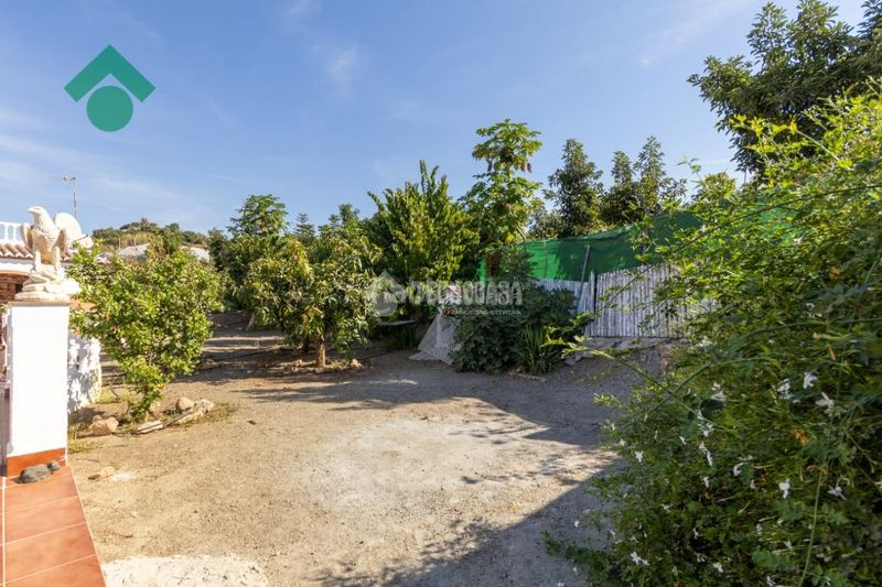 Foto 54f27084-829b-422e-817b-37b76ebd717d. Masia amb piscina a Avda Pescia - Ctra de Frigiliana Nerja