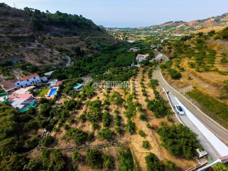 Foto c315b2ac-3176-4309-8a51-1b2c88de51ca. Fondo rustico in Avda Pescia - Ctra de Frigiliana Nerja