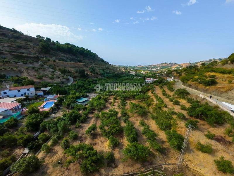 Foto fd87619e-b30d-4764-82b3-9f98f1a8dda6. Fondo rustico in Avda Pescia - Ctra de Frigiliana Nerja