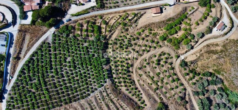 Foto ce6ba6ee-f018-4925-886d-87f747753c0c. Bauernhof in Frigiliana