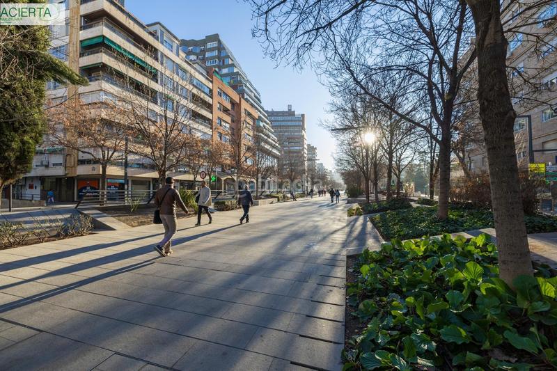 Foto f7285b4c-b39e-48de-8f32-44593b7f830d. Piso en avenida de la constitucion 22 piso en avenida constitución en Granada