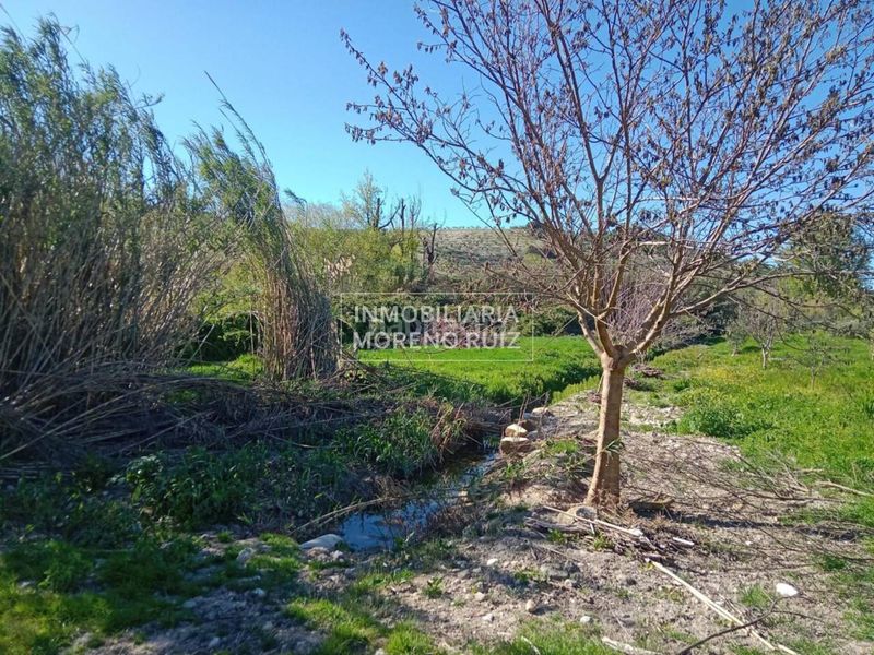 Foto 18a7b83f-08d8-40f1-8337-23981e91329e. Terreny residencial a Luque