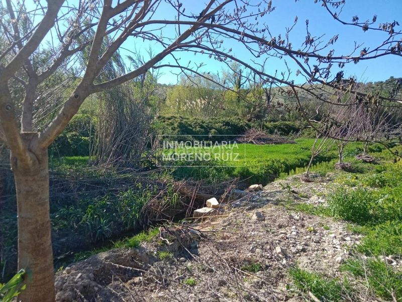 Foto 7afe0ae0-9804-42ad-aa2f-1438bdc3d0e1. Terreny residencial a Luque