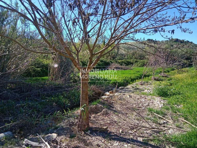 Foto bfe67b81-445a-4171-99e2-acb3e2f2a09f. Terreny residencial a Luque