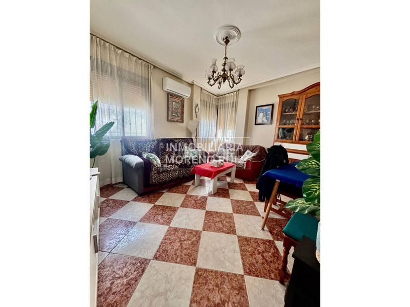 Foto cee1e0ae-ef5e-45da-8dea-ebe1235e3117. Pis a Baena