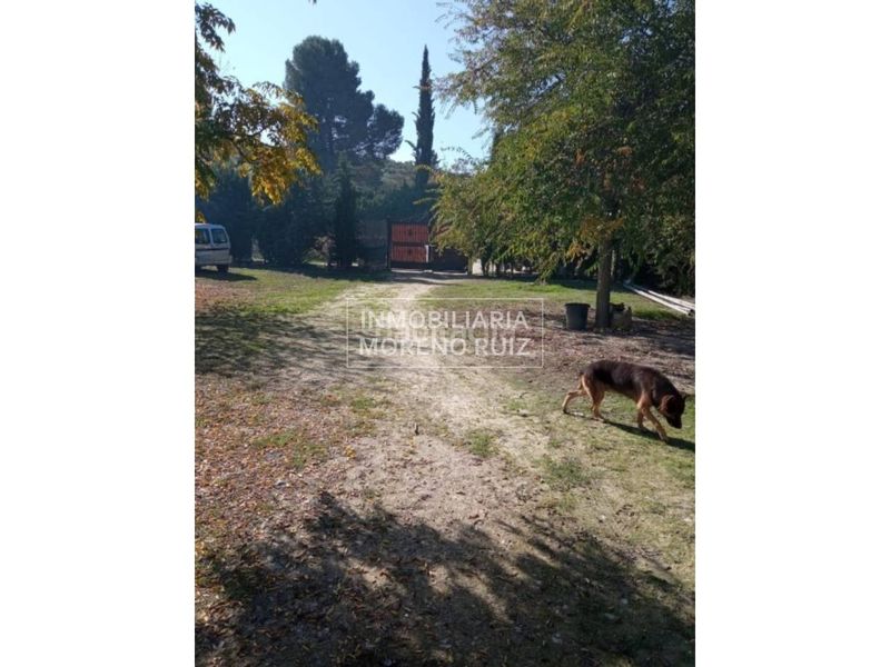 Foto ac0990f2-d789-4cb3-8164-a1941e0f0a00. Masia a Zuheros