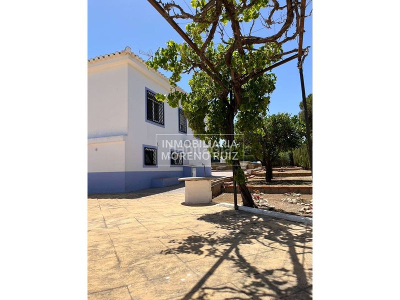 Foto daad8545-8237-49d1-9cdb-b6c4185d3084. Chalet con parcheggio piscina in Centro Bétera
