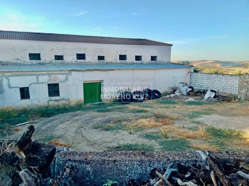Foto 1fc98efa-e584-49ef-91c4-de00b5a9d98e. Finca rústica a Baena