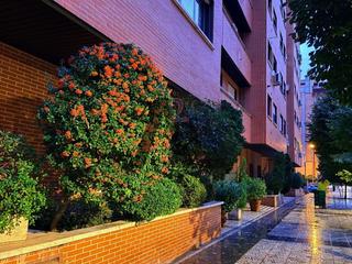 Lloguer Apartament a Tres Olivos-Valverde. Alquiler tres  olivos
