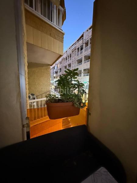 Foto 3c947270-206e-4446-842b-db86525bc1cf. Alquiler apartamento  en alquiler en lamata. apartamento de 2 dormitorios en edificio nuevo. en Torrevieja