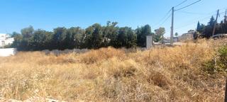 Residential Plot in La Jara