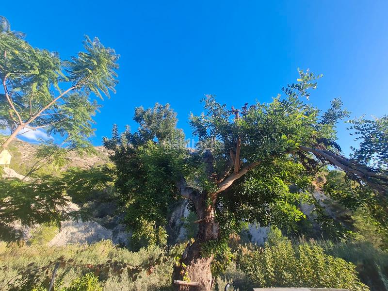 Foto 3483b875-6303-41d5-8596-a0fcf041949d. Masia amb xemeneia aparcament a Orxeta