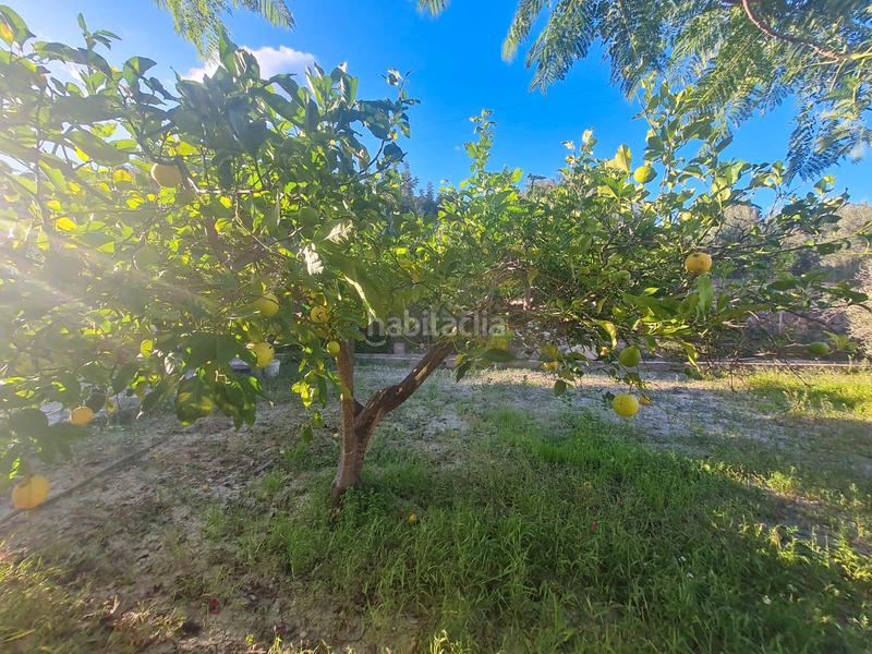 Foto 580e7b9e-8c51-4833-a30d-9004be2ab835. Masia amb xemeneia aparcament a Orxeta