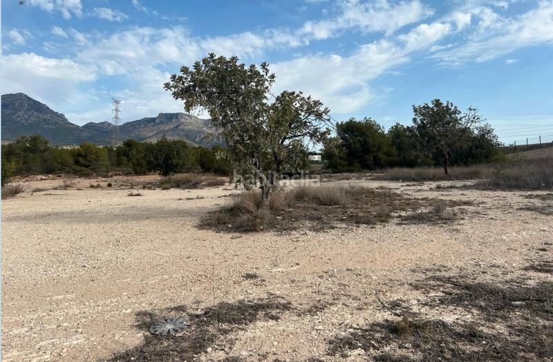 Foto a298dbfd-341d-41fe-ba50-815bbd0dca86. Finca rústica terreno en venta en partida saltet en Benidorm