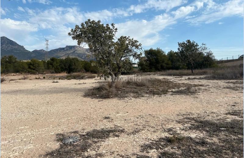Foto cab7cd93-4f6f-461d-974f-dcc9b3db1d22. Finca rústica terreno en venta en partida saltet en Benidorm