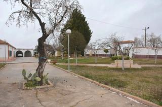 Rural plot in Pozuelo de Calatrava. Amplio terreno rural en pozuelo de calatrava, ciudad real