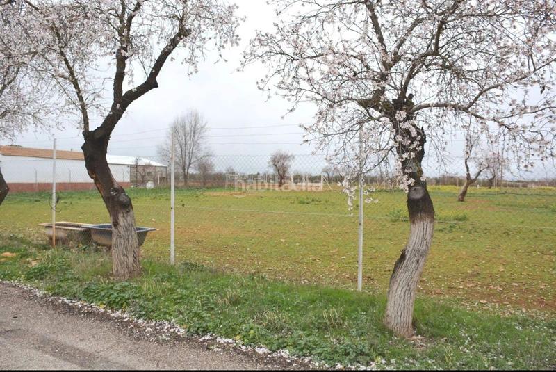 Foto 93cc6231-e45f-49f6-a0b2-48ae82c4b559. Finca rústica amplio terreno rural , ciudad real en Pozuelo de Calatrava