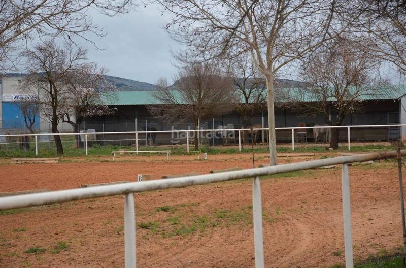 Foto c6e1818e-1026-4010-a1d1-cc1c7d273fdb. Finca rústica amplio terreno rural , ciudad real en Pozuelo de Calatrava