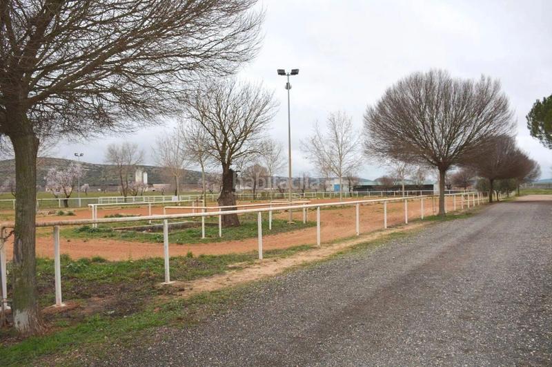 Foto d3038e15-dc29-4aa8-811e-131add40aa25. Finca rústica amplio terreno rural , ciudad real en Pozuelo de Calatrava