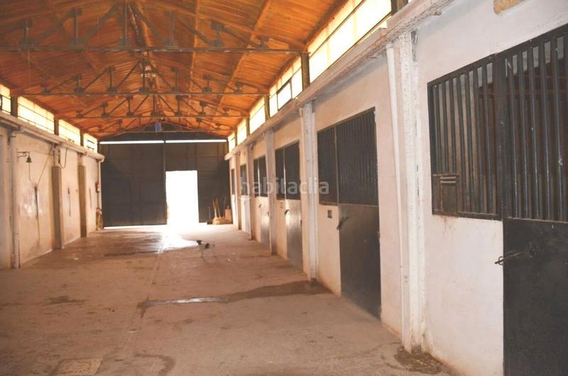 Foto e844b650-52d3-4c76-9a02-77f6c0021a8e. Finca rústica amplio terreno rural , ciudad real en Pozuelo de Calatrava