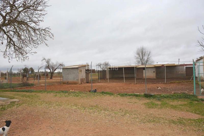 Foto fab91e39-9815-4b67-b798-7cd17926044e. Finca rústica amplio terreno rural , ciudad real en Pozuelo de Calatrava
