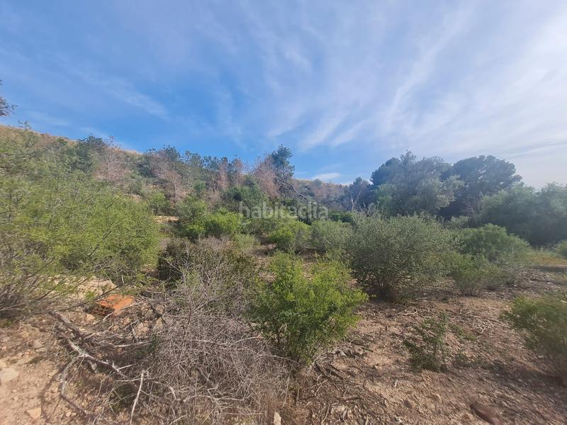 Foto 897e894f-d739-40e2-8f4a-240f1008b1cd. Terreny residencial a Platja de Torres Vila Joiosa (la)