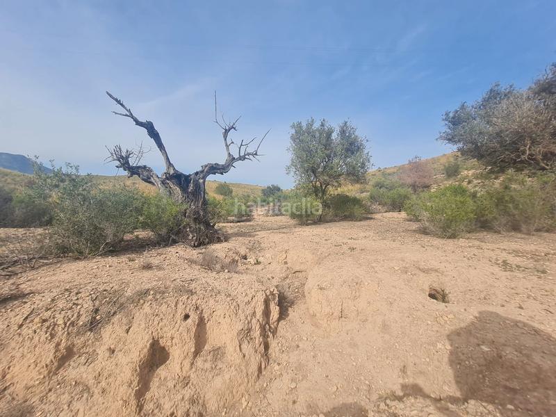 Foto d5498f35-a739-45c2-9472-6d4025f2575a. Terreny residencial a Platja de Torres Vila Joiosa (la)