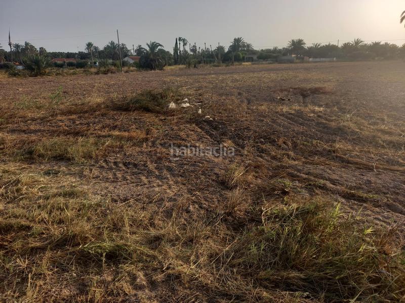 Foto 24c56055-5cb1-4b9c-9bd5-563095995eb5. Casa a La Foia - Daimés - Asprella Elche / Elx