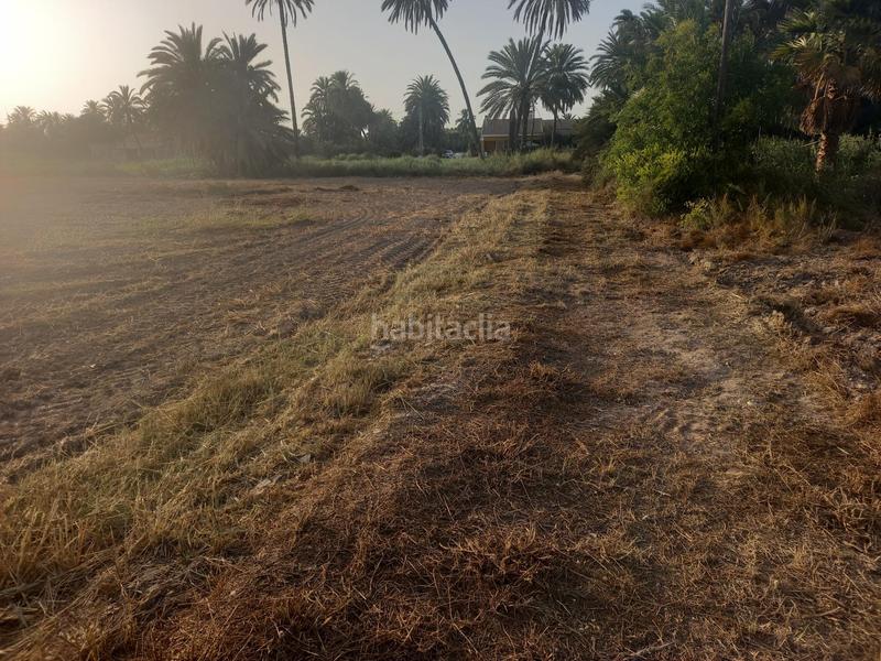 Foto 5d0bb620-553e-4d2d-9f91-0621ce28b914. Casa a La Foia - Daimés - Asprella Elche / Elx